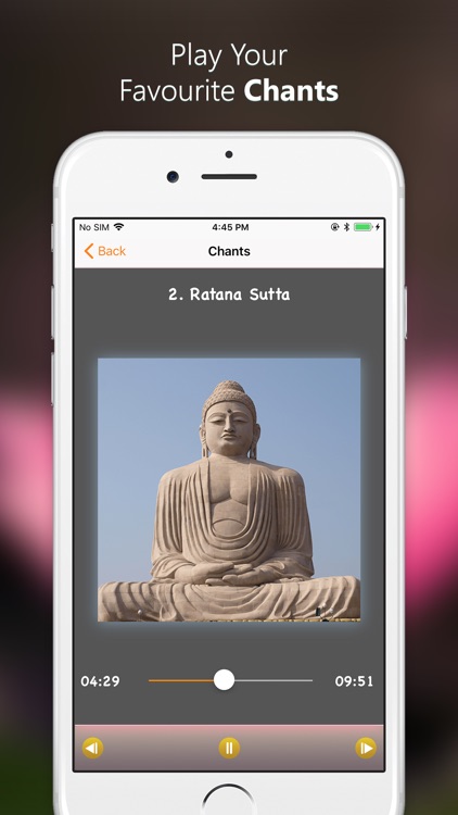 Buddha Box screenshot-4