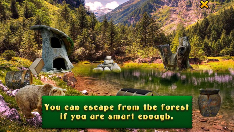 Can You Escape Forest ?