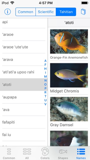 Tetiaroa Fish Guide(圖7)-速報App