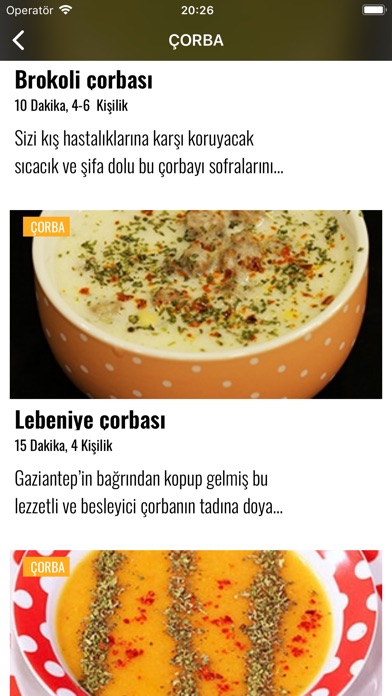 Nefis Yemek Videolu Tarifler screenshot 3