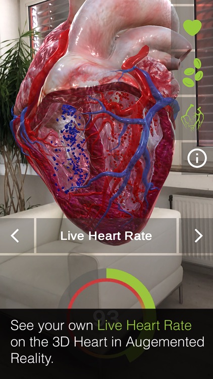 INSIGHT HEART