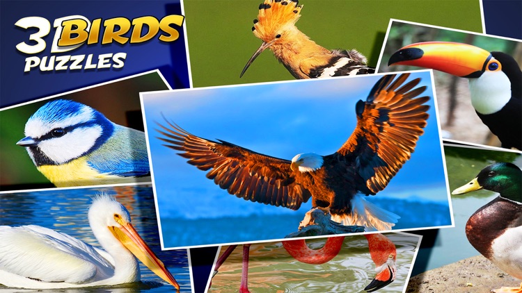 Birds Jigsaw Puzzles Game