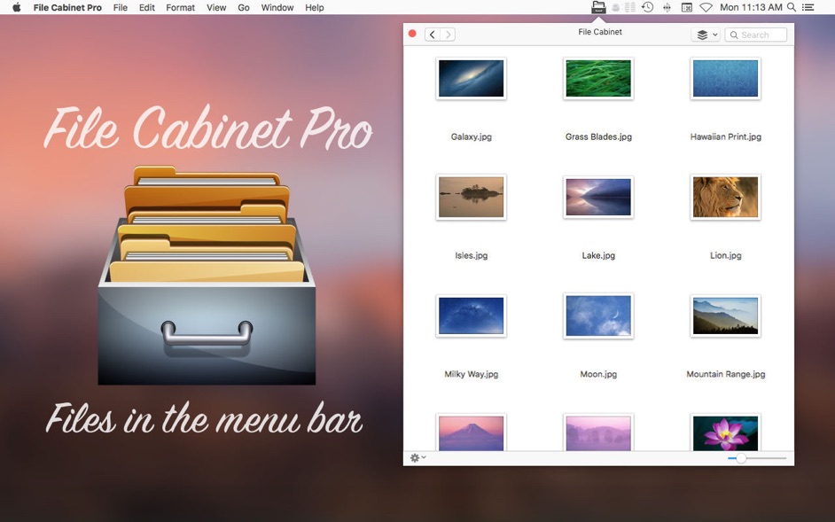 File Cabinet Pro 6.3.1  File manager for the menu bar