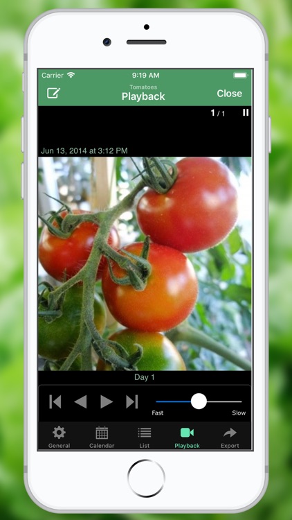 GreenDiary screenshot-4