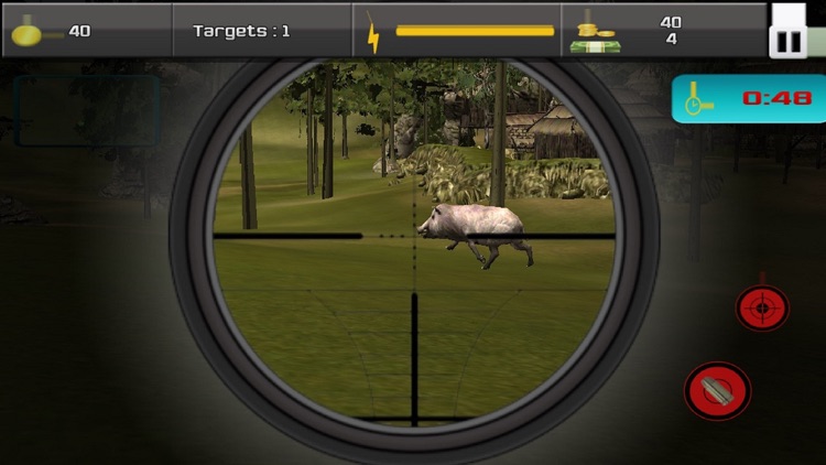 Hunt Animal For Survival