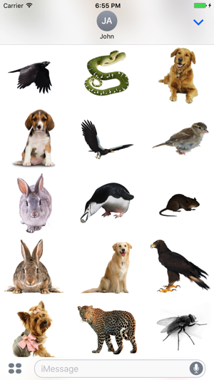 Animals Stickers+(圖2)-速報App