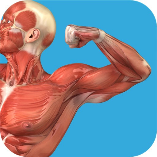 Student Muscle & Bone Anatomy 3D Visual Dictionary with Quiz Master