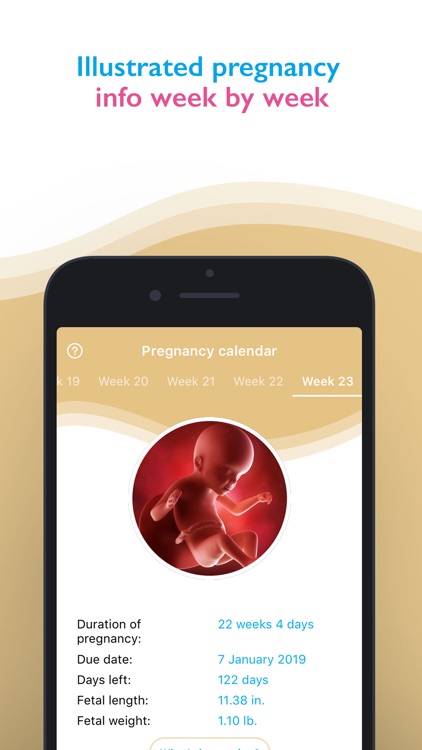 Pregnancy app & Baby Tracker