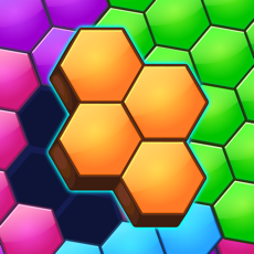 Activities of Blocks Puzzle - Hexagon Game