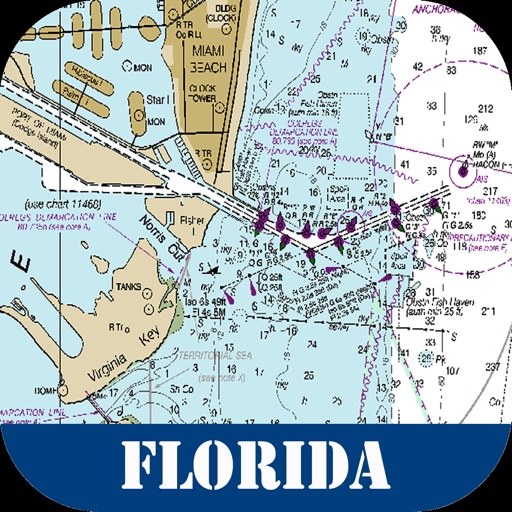 Florida Raster Maps icon