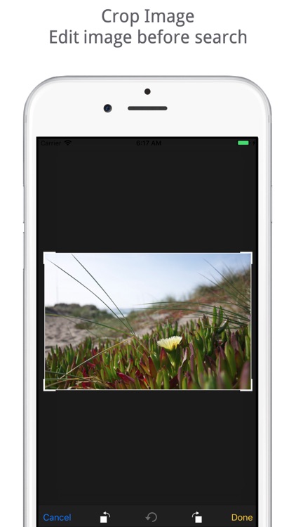 Reverse Image Search Tool