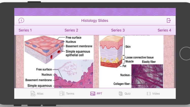 Histology Cell Tissue screenshot-9