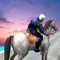 Have you enough skills that you can ride your soulful horse with freestyle hero