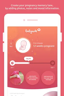 Game screenshot Babynote - Pregnancy Timeline apk