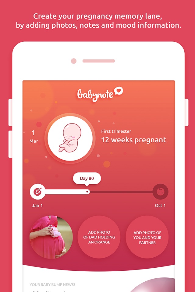 Babynote - Pregnancy Timeline screenshot 2