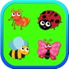 Insect Match Puzzle