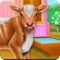 Welcome into the animal world and come to explore the diversity of a cow's caring taker