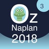 Oz Naplan Year 3 Numeracy