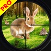 Wild Rabbit Hunting Simulator