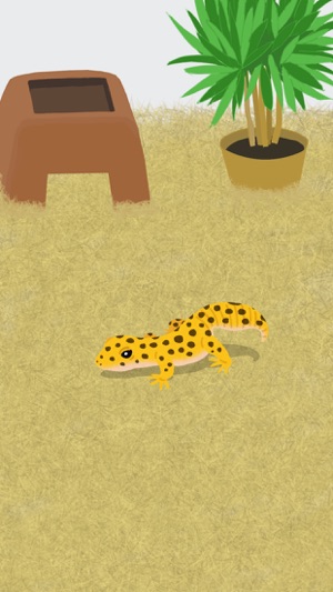 My Gecko -Virtual Pet Game-