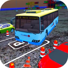 Activities of Skill Bus Parking Advance