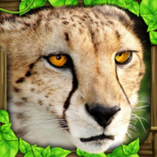 Cheetah Simulator Icon