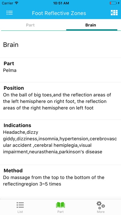 Foot Reflective Zones Handbook screenshot-3