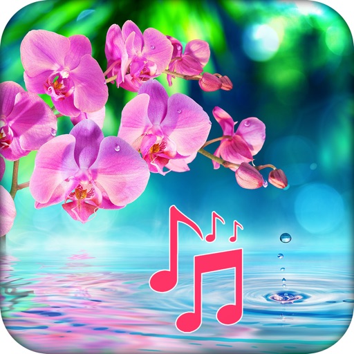 Stay Calm - Relaxing Melodies Icon