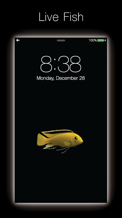 How to cancel & delete Live Fish - Live Wallpapers for Fish with Black BG from iphone & ipad 1