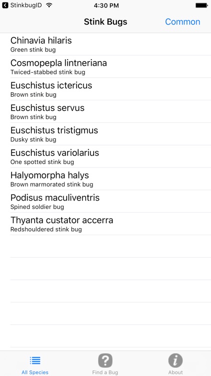 Midwest Stinkbug Assistant