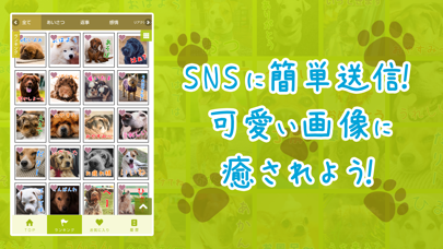 いぬスタンプ～かわいい犬のスタンプアプリ～ screenshot 2