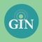 What is the GIN System