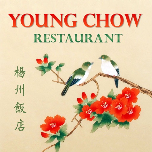 Young Chow - Arlington