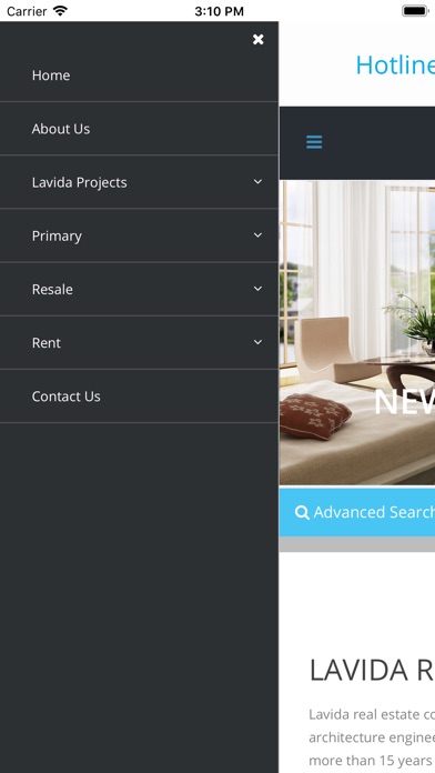 Lavida Real Estate screenshot 2