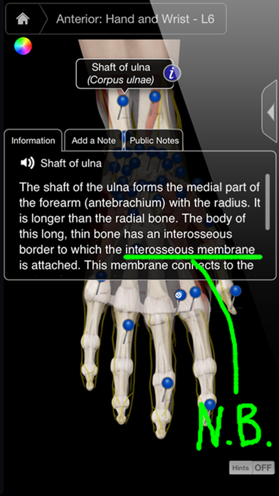 How to cancel & delete Hand & Wrist Pro III from iphone & ipad 2