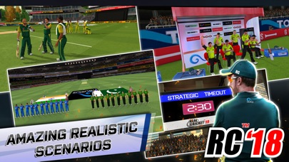 Real Cricket™ 18 - Free Hack screenshot 5 - game app interface