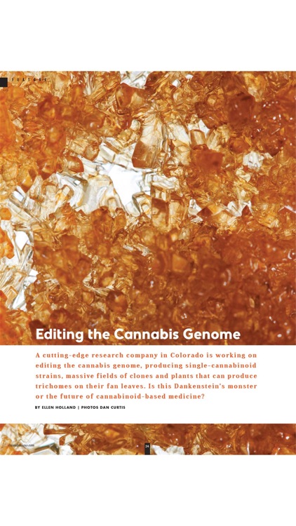Cannabis Now screenshot-4