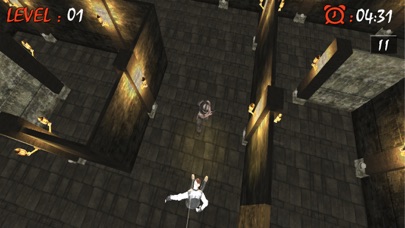 Maze Runner:3D Escape Plan Screenshot 1