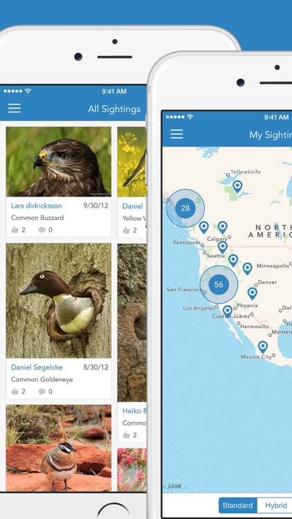 iKnow Birds 2 LITE screenshot-4