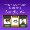 Matching - Switch Access: #4