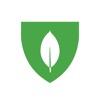 MongoDB University