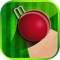 Bing Bong Cricket is a challenging, and fast paced arcade game