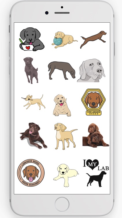 Labrador Retriever Stickers