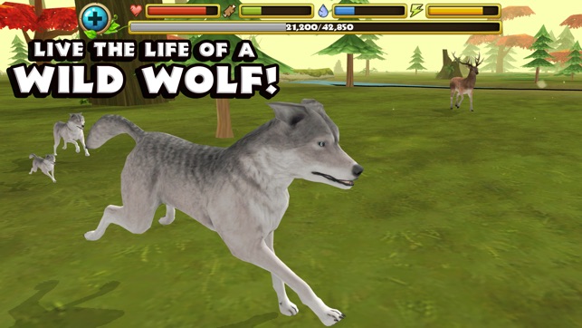 Wildlife Simulator: Wolf(圖1)-速報App