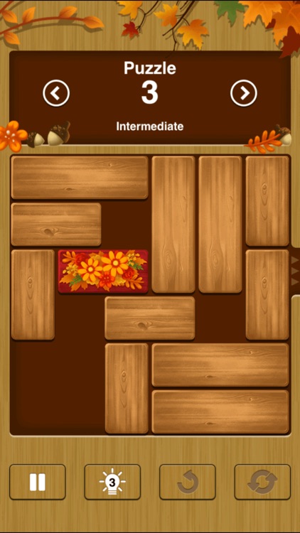 Unblock Me screenshot-4