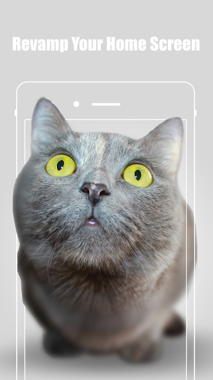 iWallpaper 3D screenshot-3
