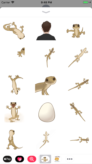 Gecko Animated Stickers screenshot 3