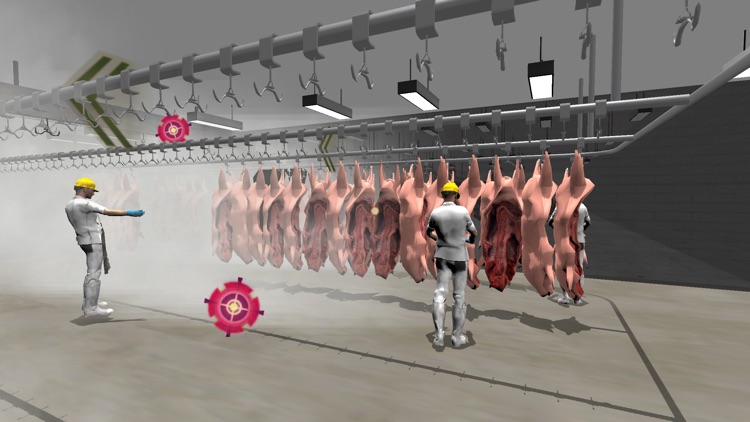 Meat Hygiene & Food Inspection