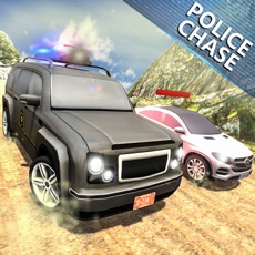 Activities of Police Car Chase games 2019
