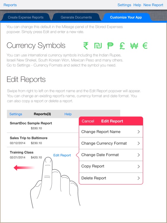 SmartDoc Expense Report